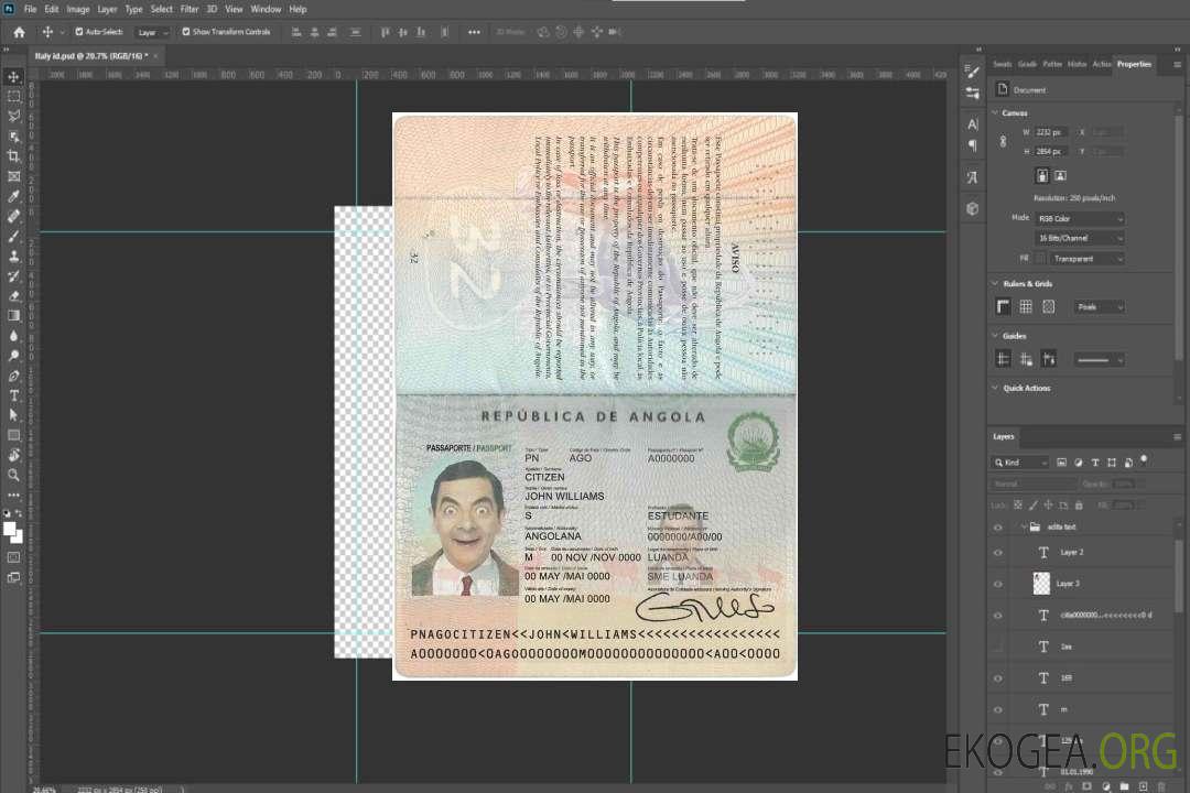 Passeport angolais template